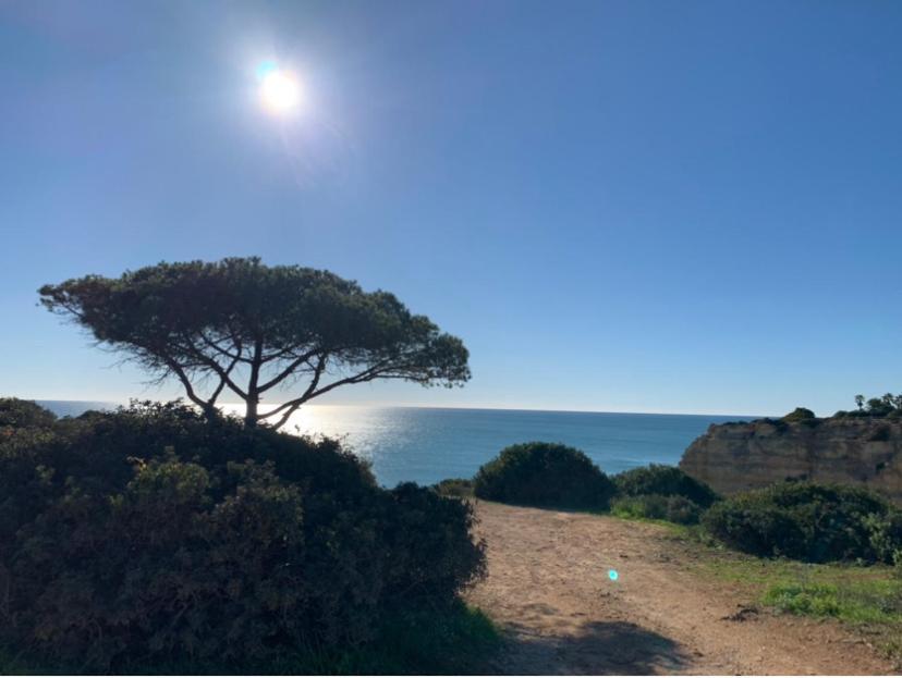 A Beira Do Vale, Carvoeiro Bed & Breakfast Carvoeiro  Dış mekan fotoğraf